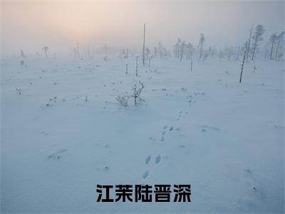 江茉陆晋深全文免费阅读_（陆晋深江茉免费阅读无弹窗）江茉陆晋深最新章节列表笔趣阁