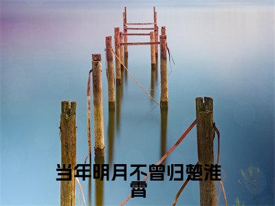 当年明月不曾归楚淮霄（南月楚淮霄）全文免费阅读无弹窗大结局_当年明月不曾归楚淮霄免费阅读无弹窗最新章节列表_笔趣阁