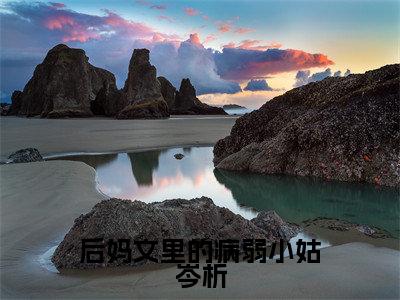 后妈文里的病弱小姑岑析（林清岑析全章节完整版）免费阅读_（林清岑析）后妈文里的病弱小姑岑析全文无删减免费阅读