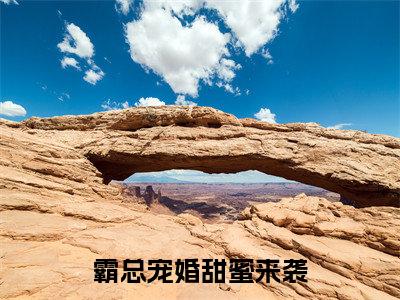 霸总宠婚甜蜜来袭（樊蒂顾嫣）全网首发最新小说-主角樊蒂顾嫣全文在线免费阅读