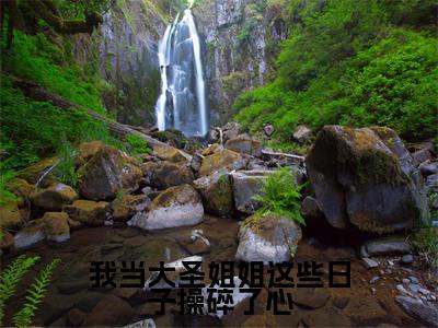 我当大圣姐姐这些日子操碎了心（孙蓉）全文免费大结局小说-我当大圣姐姐这些日子操碎了心全文最新章节阅读