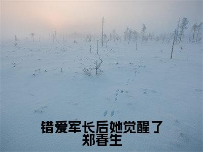 错爱军长后她觉醒了郑春生（陆倚梅郑春生）免费阅读-小说（错爱军长后她觉醒了郑春生）陆倚梅郑春生全文阅读