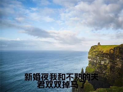 冷燃玉韩行止（新婚夜我和不熟的夫君双双掉马了）小说免费在线阅读_冷燃玉韩行止全本免费小说阅读大结局（新婚夜我和不熟的夫君双双掉马了）