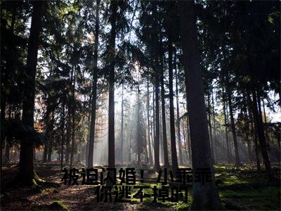盛夏墨寒霆（被迫闪婚！小乖乖，你逃不掉的）全文在线阅读无弹窗大结局_被迫闪婚！小乖乖，你逃不掉的全文无弹窗最新章节列表