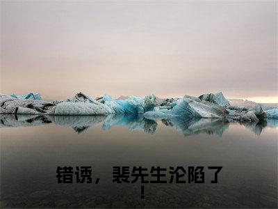 裴筝黎游（错诱，裴先生沦陷了！）全文免费阅读无弹窗_错诱，裴先生沦陷了！最新小说_笔趣阁（裴筝黎游）
