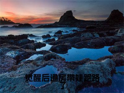 温颂沈明奕（觉醒后通房带娃跑路了小说）全文免费阅读无弹窗大结局_（温颂沈明奕）觉醒后通房带娃跑路了小说最新章节列表