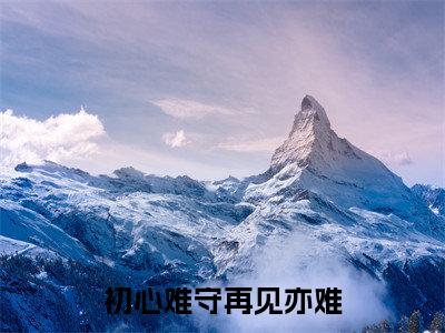初心难守再见亦难全文免费阅读无弹窗大结局_（夏浅悠顾时烨在线阅读）初心难守再见亦难最新章节完整版阅读