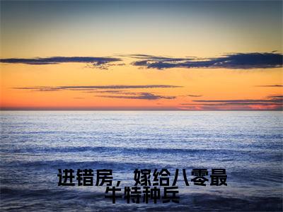 进错房，嫁给八零最牛特种兵江肆年林晚夏完整版最新小说大结局，进错房，嫁给八零最牛特种兵免费完结版