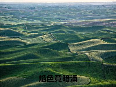 江琛白舒江煜周淮小说（焰色竟暗涌）完整版小说阅读_江琛白舒江煜周淮全本列表免费笔趣阁
