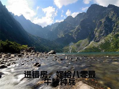 进错房，嫁给八零最牛特种兵（江肆年林晚夏）小说全文免费阅读_进错房，嫁给八零最牛特种兵最新章节小说免费阅读_笔趣阁江肆年林晚夏