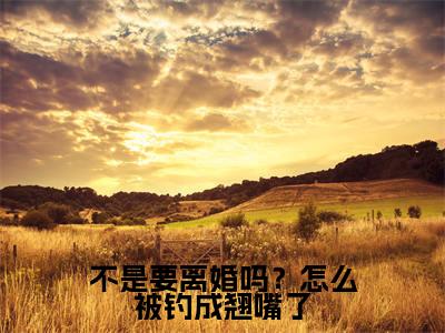 小说不是要离婚吗？怎么被钓成翘嘴了全文免费阅读无弹窗_（傅斯年许妄完结）不是要离婚吗？怎么被钓成翘嘴了小说免费阅读无弹窗最新章节列表