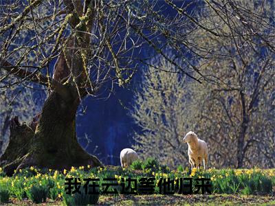 我在云边等他归来小说全文免费阅读_我在云边等他归来（孟祯沈如宁）最新章节列表在线阅读