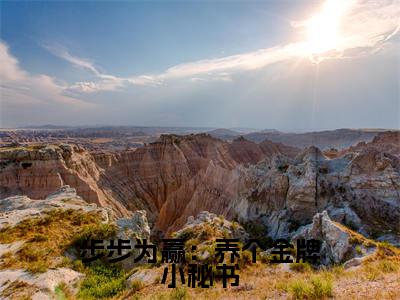 姜早纪斯铭免费小说，步步为赢：养个金牌小秘书全文免费阅读无弹窗大结局