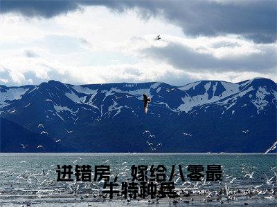 江肆年林晚夏全文免费阅读大结局_进错房，嫁给八零最牛特种兵已完结全集江肆年林晚夏大结局小说