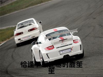 宋听澜鹿笙笙小说免费阅读全文（宋听澜鹿笙笙）全文免费阅读无弹窗大结局_恰逢乍暖还寒时鹿笙笙最新章节列表