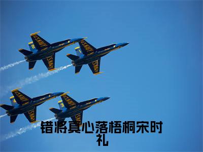 宋时礼小说（错将真心落梧桐宋时礼）全文免费阅读无弹窗大结局_宋时礼（错将真心落梧桐宋时礼）最新章节列表