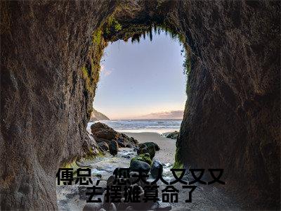 傅总，您夫人又又又去摆摊算命了（林溪傅京尧）全文免费阅读无弹窗大结局_傅总，您夫人又又又去摆摊算命了最新章节列表（林溪傅京尧）