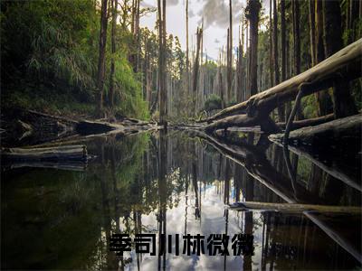季司川林微微（林微微季司川）全文免费阅读无弹窗大结局_林微微季司川（季司川林微微最新章节在线阅读）_笔趣阁