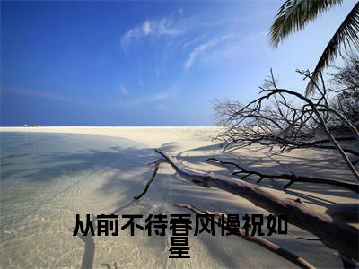 从前不待春风慢祝如星（祝如星）精彩小说-小说祝如星全文无删减版免费阅读