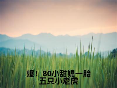 爆！80小甜媳一胎五只小老虎小说秦埘越安柠-爆！80小甜媳一胎五只小老虎小说在哪里可以看