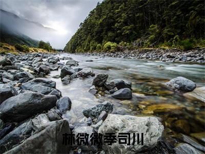林微微季司川（林微微季司川）全文免费阅读无弹窗大结局_林微微季司川完整版小说阅读（林微微季司川）