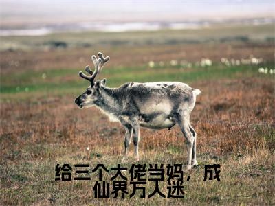 给三个大佬当妈，成仙界万人迷全文免费阅读_（赵玥玥免费阅读无弹窗）赵玥玥最新章节列表笔趣阁
