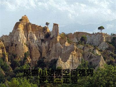 兰芷恒全文免费阅读-全网首发小说废物小姐携空间强势逆袭兰芷恒