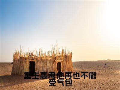 重生高考他再也不做受气包全文免费阅读无弹窗大结局-林瑾年顾若清在线阅读