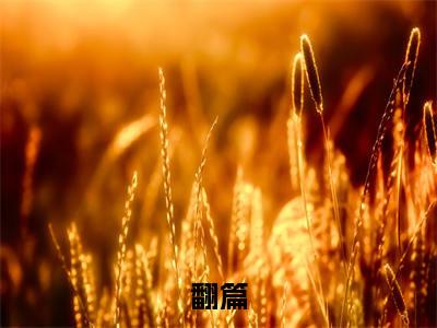 翻篇无广告小说免费阅读，翻篇陈北周晨完结小说在线阅读