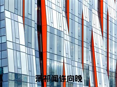 小说（薄祁闻许向晚）_许向晚薄祁闻全文阅读_薄祁闻许向晚免费阅读大结局