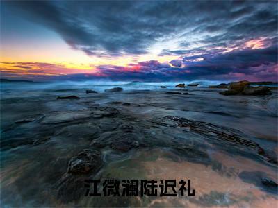 江微澜陆迟礼最新完结免费阅读-江微澜陆迟礼悬疑小说在线阅读