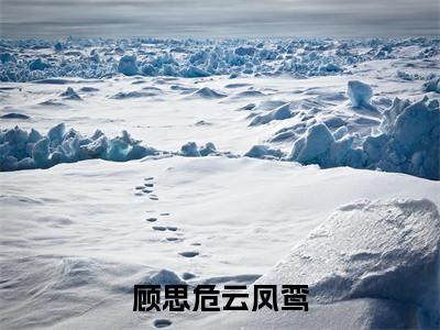 顾思危云凤鸾（云凤鸾顾思危）全文完整版免费阅读_顾思危云凤鸾最新章节列表_笔趣阁（云凤鸾顾思危）