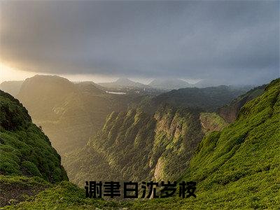 谢聿白沈岁桉（沈岁桉谢聿白）全文在线阅读无弹窗大结局_（谢聿白沈岁桉在线阅读）最新章节列表_笔趣阁
