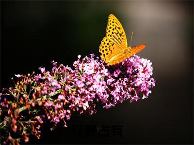狂野占有全文免费阅读无弹窗-（恩里克佟嬅）狂野占有最新章节列表在线阅读