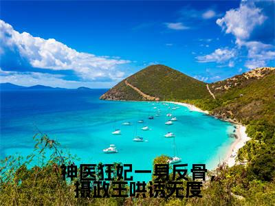 林汐澜北辰渊小说全文-神医狂妃一身反骨，摄政王哄诱无度精选小说林汐澜北辰渊大结局阅读