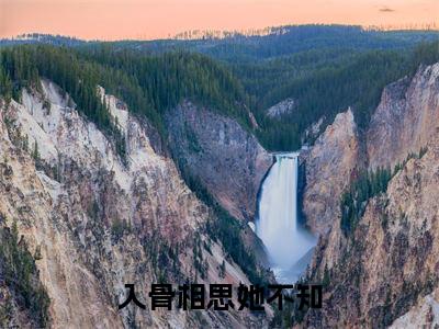 沈谨昂陆悦宁（入骨相思她不知）全文免费阅读无弹窗大结局_沈谨昂陆悦宁免费最新章节列表_笔趣阁（入骨相思她不知）