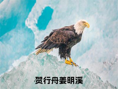 贺行舟姜明溪（姜明溪贺行舟）免费阅读无弹窗大结局_贺行舟姜明溪小说（姜明溪贺行舟）免费阅读最新章节列表