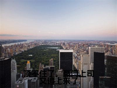 顶不住了，豪门上司又追上来了（谢景珩江柠）免费全文阅读小说_谢景珩江柠最新章节列表-笔趣阁（顶不住了，豪门上司又追上来了）