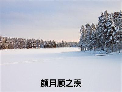 颜月顾之羡（顾之羡颜月）热推现言小说-颜月顾之羡小说在哪里可以看全文