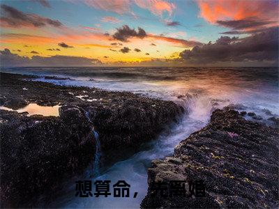 司祁承宋觅（想算命，先离婚）全文免费阅读-（司祁承宋觅）想算命，先离婚最新章节小说阅读-笔趣阁