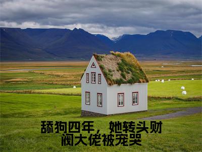 林茉纪晔宸小说免费（舔狗四年，她转头财阀大佬被宠哭免费阅读）舔狗四年，她转头财阀大佬被宠哭全文免费阅读无弹窗大结局_林茉纪晔宸小说最新章节列表
