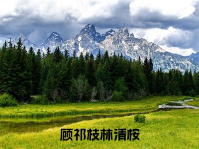 小说林清桉顾祁枝（顾祁枝林清桉小说免费阅读）完结阅读，林清桉顾祁枝在线阅读