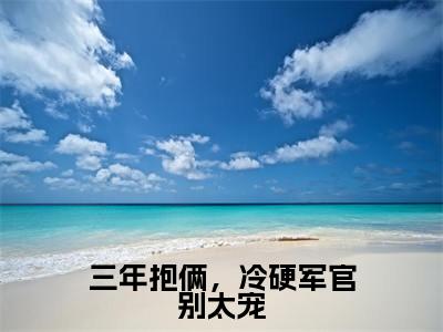 （热推新书）《三年抱俩，冷硬军官别太宠》全文免费阅读无弹窗大结局_周傅川林阮无弹窗全文阅读