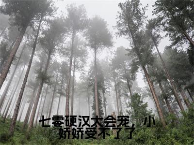 陆延川秋好（七零硬汉太会宠，小娇娇受不了了）全文免费阅读无弹窗大结局_陆延川秋好最新章节列表_笔趣阁（七零硬汉太会宠，小娇娇受不了了）