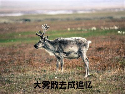 白初糖霍时年（大雾散去成追忆）最新章节在线阅读抖音新书热荐大雾散去成追忆