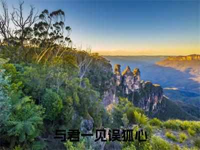 景离重白曦瑶（与君一见误狐心）全文免费阅读无弹窗大结局_（景离重白曦瑶小说全文免费阅读）最新章节列表
