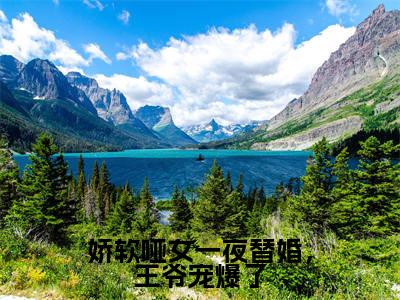 绿袖顾砚全文阅读-娇软哑女一夜替婚，王爷宠爆了小说免费阅读-笔趣阁