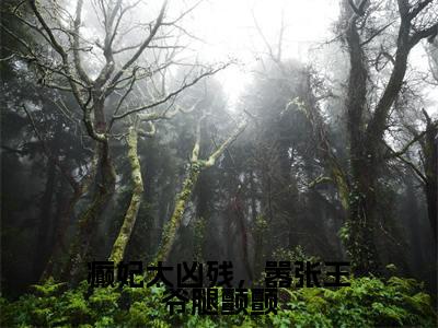 萧景珹谢瑶在线阅读（癫妃太凶残，嚣张王爷腿颤颤小说）全文免费阅读无弹窗大结局_癫妃太凶残，嚣张王爷腿颤颤免费最新章节列表
