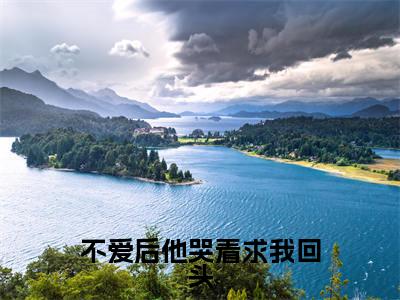 【完整版】（不爱后他哭着求我回头小说夏知安傅经年）精彩小说全本资源免费阅读结局无删节_夏知安傅经年全章节阅读