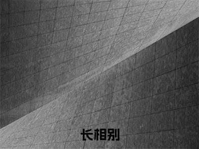 长相别小说免费阅读无弹窗-长相别（季景晟沈颀）小说免费阅读无弹窗大结局